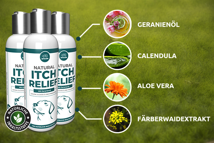 Natural Itch Relief, Calendula, Geranienöl, Aloe Vera, Färberwaidextrakt